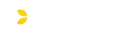 Evolution Gaming no SS5BET: jogos, perfil e análise